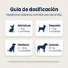 Petdentix sin sarro sin estres