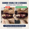 Petdentix sin sarro sin estres