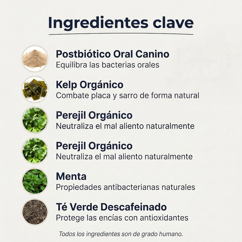 Petdentix sin sarro sin estres