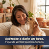 Petdentix sin sarro sin estres